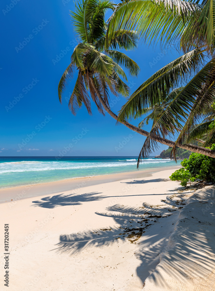 Tropical white sand beach with coco palms and the turquoise sea on Caribbean island.	 - obrazy, fototapety, plakaty 