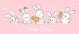 Fototapeta Fototapety na ścianę do pokoju dziecięcego - Draw white bunny on pink pastel for spring season.