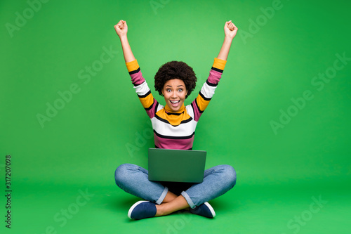 Full length photo of crazy funky afro american girl work laptop sit legs crossed win coworking deal scream wow omg raise fists wear denim jeans shine outfit isolated green color background