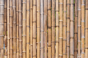  Several bamboo trunks are lined up to form rafts and walls.