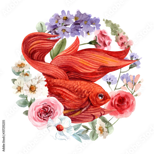 Fighting fish