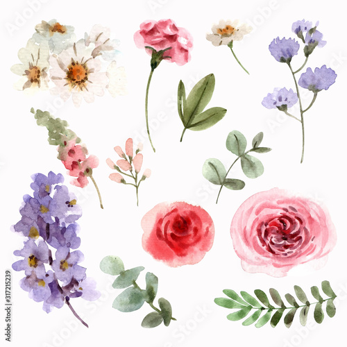 flower, nature, pink, flowers, spring, floral, plant, blossom, isolated, whit...