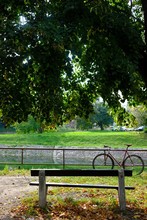 A Bicycle Near A River And A Bench Under A Tree