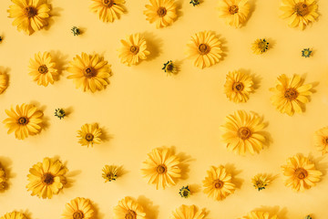 Wall Mural - Flat lay frame border with blank copy space mockup made of yellow daisy flowers on yellow background. Top view floral concept.