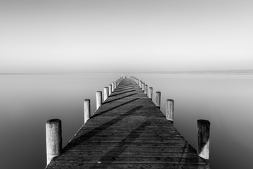 Poster - Greyscale shot of a wooden dog near the sea with a foggy background