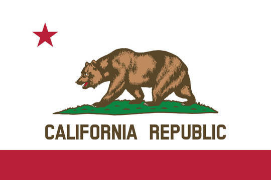 vector of beautiful california republic state flag..