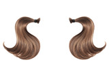 Fototapeta  - Brown hair isolated on white background. Two ponytail