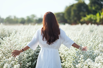 Wall Mural - Portrait image of an asian woman walking into a beautiful Cutter flower field