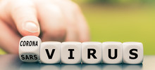 Hand Turns A Dice And Changes The Expression "sars Virus" To "corona Virus".