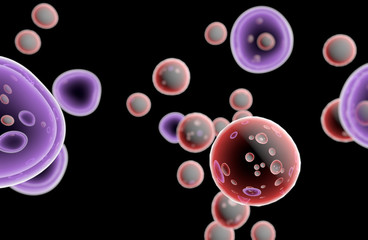 Wall Mural - embryonic stem cells cellular-therapy regeneration