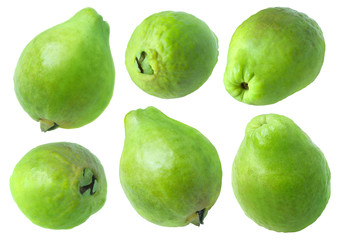 Leinwandbilder - Isolated guava. Collection of whole green guava fruits isolated on white background with clipping path