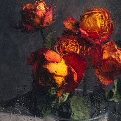 Wall Mural - Dried orange roses. Bunch of beautiful faded flowers through the glass with rain drops. Sad love concept. Copy space, grey background