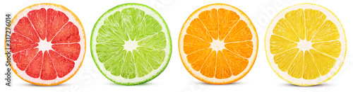 Fotografía Fresh orange, lemon, lime, grapefruit cut in half slice