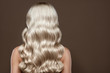 Leinwandbild Motiv  Healthy Long blonde Shiny Wavy hair back view. Volume shampoo. Blond Curly permed Hair.  Beauty salon and hair care concept.
