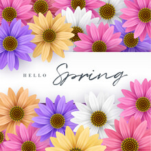Colorful Flower Frame Template For Women's Day And Spring Greeting Invitation Event Background Vector