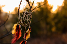 The Dream Catcher With The Forest In The Background