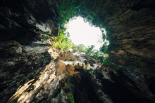 Cave Hole In The Jungle