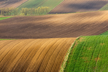 Spring fields in Ponidzie in Poland- fields near Kielce and Krakow. 