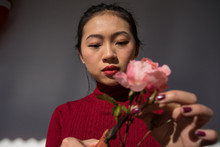 Young Asian Lady Cutting Rose Stem With Secateurs
