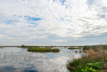 USA, California, Kern County, Kern National Wildlife Refuge. A Brilliant Blue Sky With Rippling Clouds Reflects In The Surface Waters Of The Wetlands.