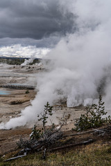 Wall Mural - NORRIS GEYSER BASIN