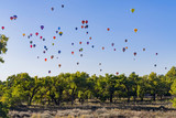 Fototapeta Tęcza - Morning view of the famous Albuquerque International Balloon Fiesta event