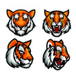 Set of Vector illustration head ferocious tiger on a white background