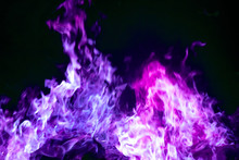 Purple Fire_4000