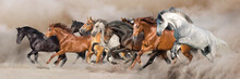Horse Herd Run Free On Desert Dust Against Storm Sky