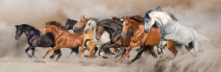 Wall Mural - horse herd run free on desert dust against storm sky