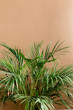 © K.Decor - Exotic tropical green palm leaves, branchs on brown background with blank space for text. Flat lay, top view