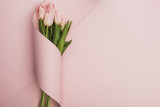 Top view of tulip bouquet wrapped in paper swirl on pink background
