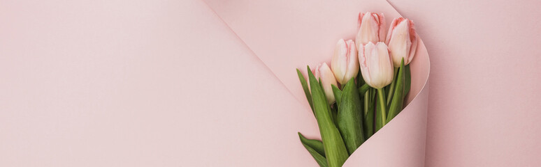 Canvas Print - Top view of tulip bouquet wrapped in paper swirl on pink background, panoramic shot