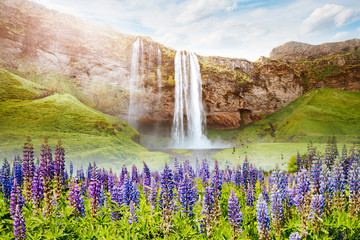 Perfect view of famous powerful Seljalandfoss waterfall in sunlight.