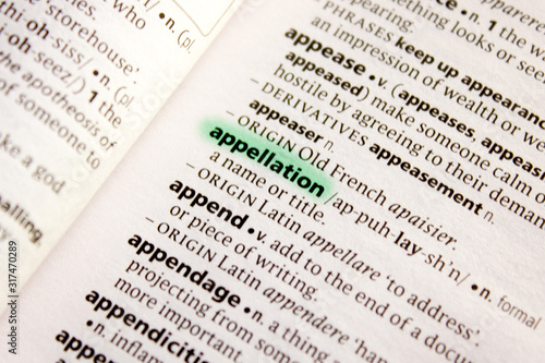 Cuadros en Lienzo Appellation word or phrase in a dictionary.