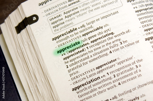 Fotografía Appreciate word or phrase in a dictionary.