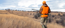 Hunter Man In Camouflage With A Gun During The Hunt In Search Of Wild Birds Or Game. Autumn Hunting Season.