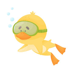 Wall Mural - Chicken Wearing Diving Suit Snorkeling Underwater Vector Illustration