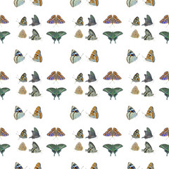 Poster - Butterflis. Seamless pattern.