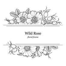 Wild Rose Flowers And Berries Frame, Line Art Drawing. Floral Border Template With Dog Rose Boquets. Vector Illustration