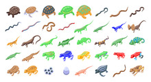 Reptiles And Amphibians Icons Set. Isometric Set Of Reptiles And Amphibians Vector Icons For Web Design Isolated On White Background