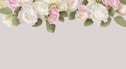 floral banner, header with copy space. white roses isolated on pastel grey background. natural flowe