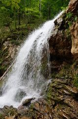 Poster - waterfall in the forest