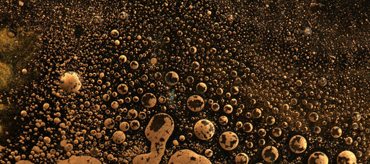 Macro black and gold Abstract bubble texture background. Acrylic color in water and oil.