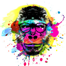 Artistic Monkey Muzzle In Eyeglasses