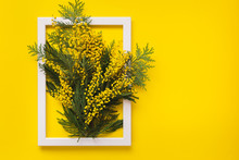 Mimosa Flowers And Green Branches  On Yellow Pattern Texture Of Crumpled Paper With White Photo Frame, Yellow Background. Spring And Easter Frame Concept, Flat Lay, Blank Space