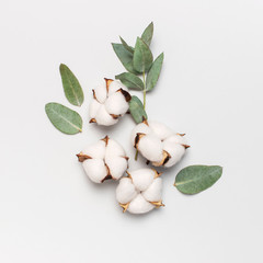 Wall Mural - Flat lay flowers composition. Cotton flowers and fresh eucalyptus twigs on light gray background. Top view, copy space. Delicate white cotton flowers. Floral background, greeting card