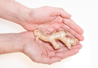 Male hand holding ginger root, natural herbal medicine 