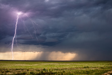 Wall Mural - Thunderstorm lightning bolt strike and dark clouds over a field