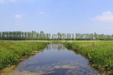 A Beautiful Broad Ditch In A Green Meadow In The Dutch Countryside In Springtime